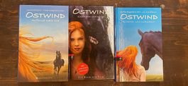 3 Mädchen-Bücher Ostwind