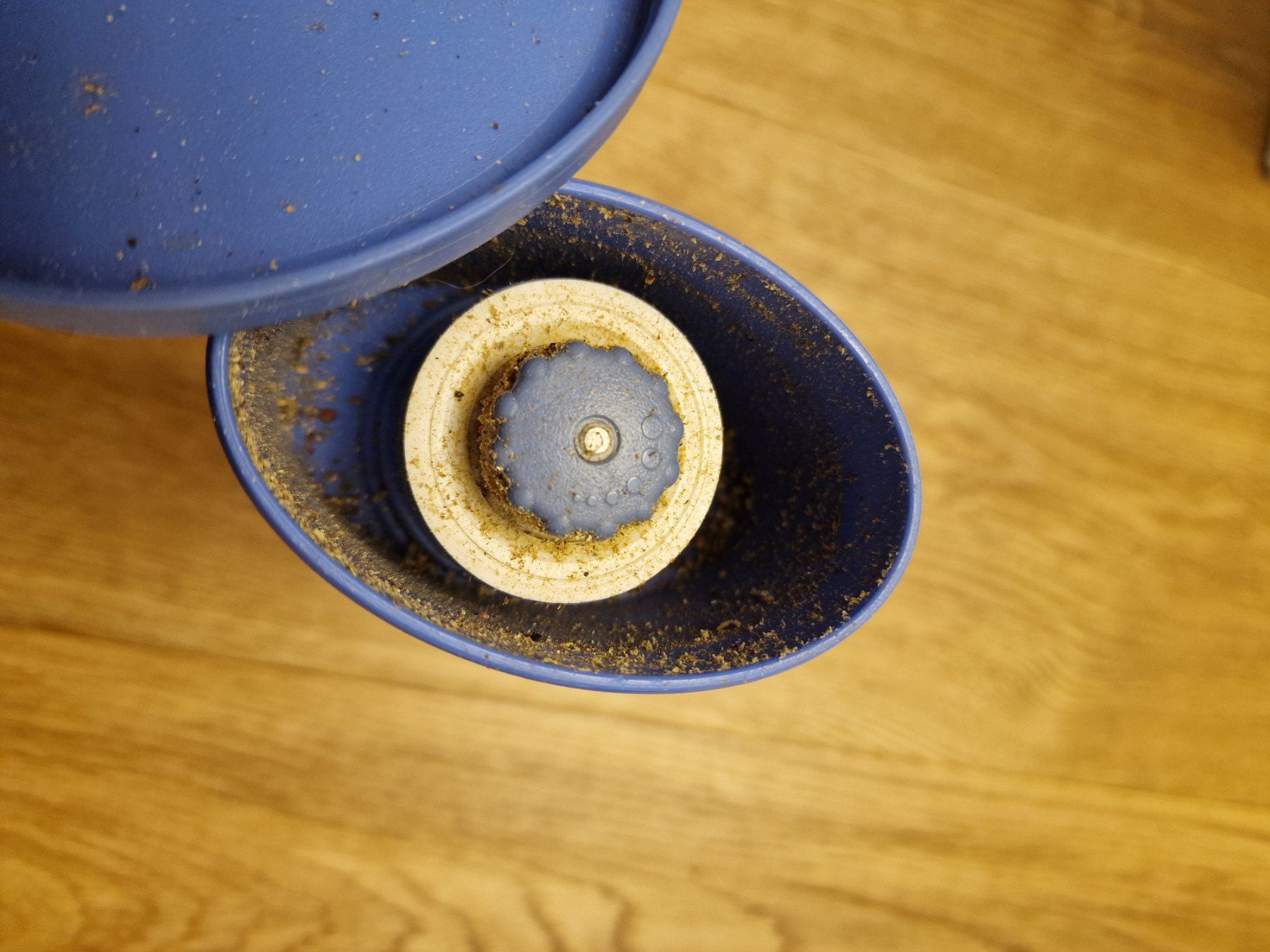 Tupperware Elettrodomestici da cucina: Tupperware Gewürzmühle blau – Usato da Oberburg venduto da Ladiva99 2