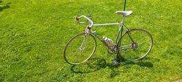 Altes Rennvelo