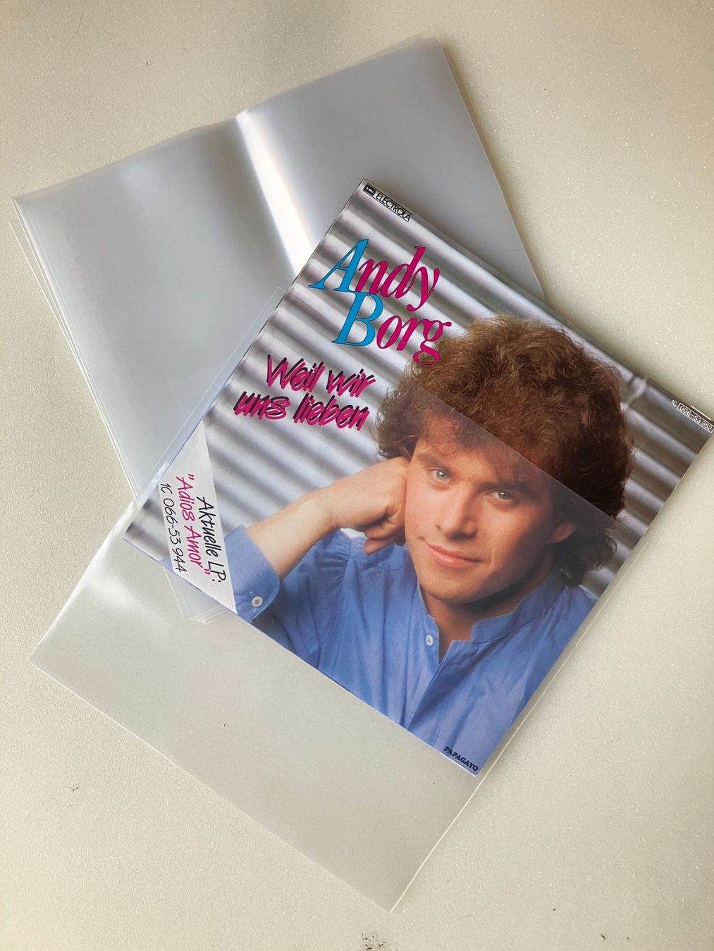 Dischi in vinile: Plastikschutzhüllen Singles – Nuovo e nell'imballaggio originale da Aarwangen venduto da Jukebox3 1