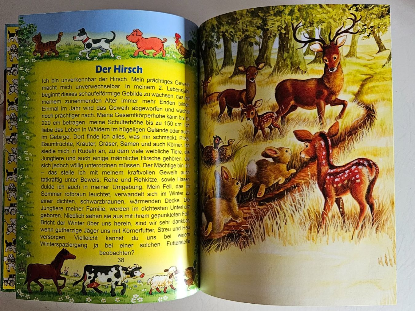 Libri: Tierbuch mit Holzanhängern und Stofftier – Usato da Basel venduto da True_Hofer_Store 4