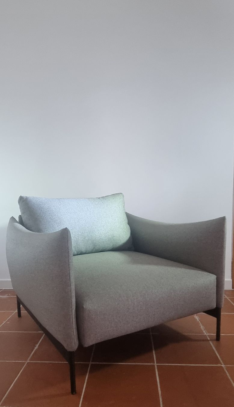 Poltrone: Poltrona design Np 1400 – Usato da Ligornetto venduto da nic_rp2g