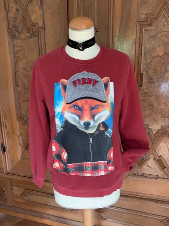 SKATE NATION USA NYC SERIE FIERY Sports Sweatshirt