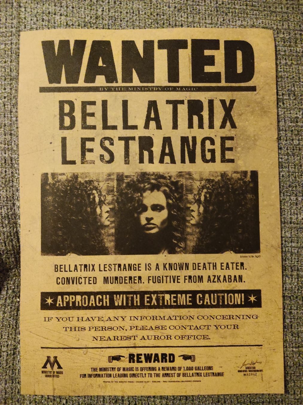Poster & Bilder: Affiche Harry Potter Bellatrix Lestrange  – Neu (gemäss Beschreibung) aus Ecublens VD von hel_t5v7