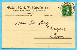 Postkarte Kanstanienbaum 1912 - Abs: Gebr. K. & P. Kaufmann