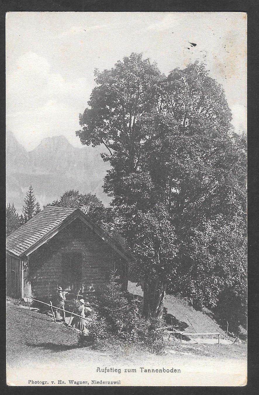 Cartoline postali: Flums Aufstieg zum Tannenboden – Usato da Olten venduto da clotaldi