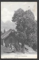 Flums Aufstieg zum Tannenboden