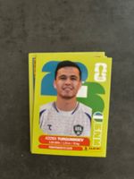 Panini Sticker UZB 14, Usbekistan WM 2026