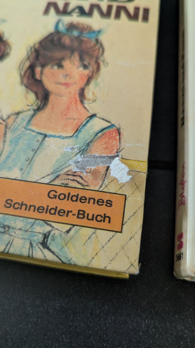Libri: 2 Hanni und Nanni Bücher – Usato da Frauenfeld venduto da mf2_yb66 1