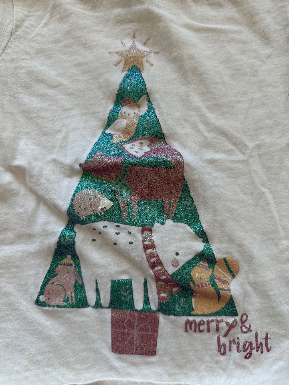 T-shirt: T-Shirt Nutmeg – Usato da Dürrenroth venduto da tvy_bh56 1