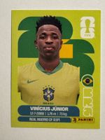 Panini Vinícius Júnior BRA 14