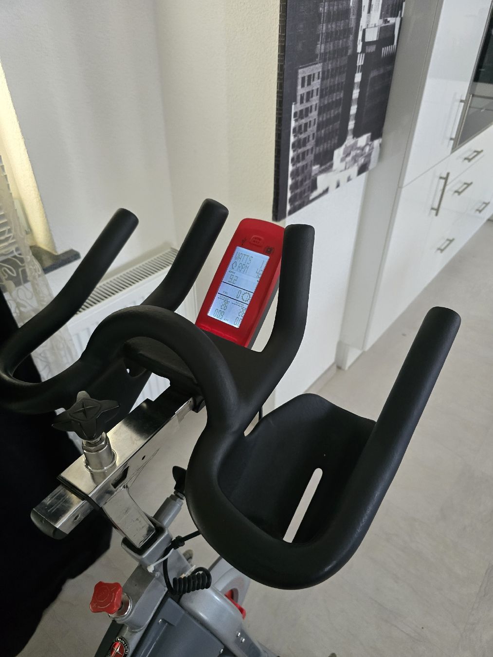 Schwinn Hometrainer: schwinn Spining bike – Usato da Derendingen venduto da S.Skorbi 1