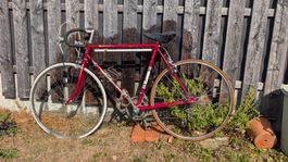 Rennvelo Peugeot vintage rot gebraucht mit Synchron Bremsen