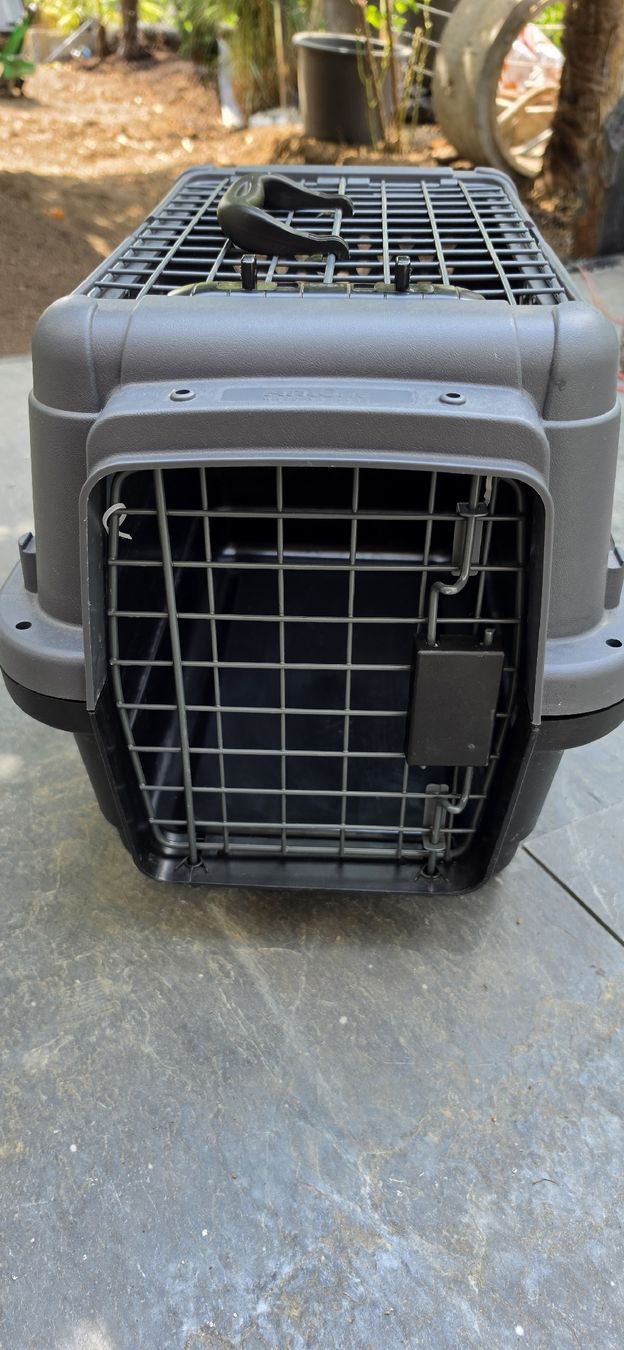 Cages, transport & sécurité: Katzenbox  – Neuf (Voir description) à Hölstein par ger_858l 2