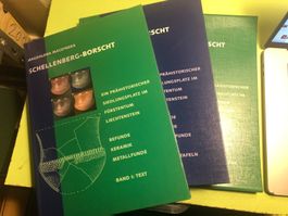 M. Maczynska: Schellenberg-Borscht. Prähist. Siedlung FL