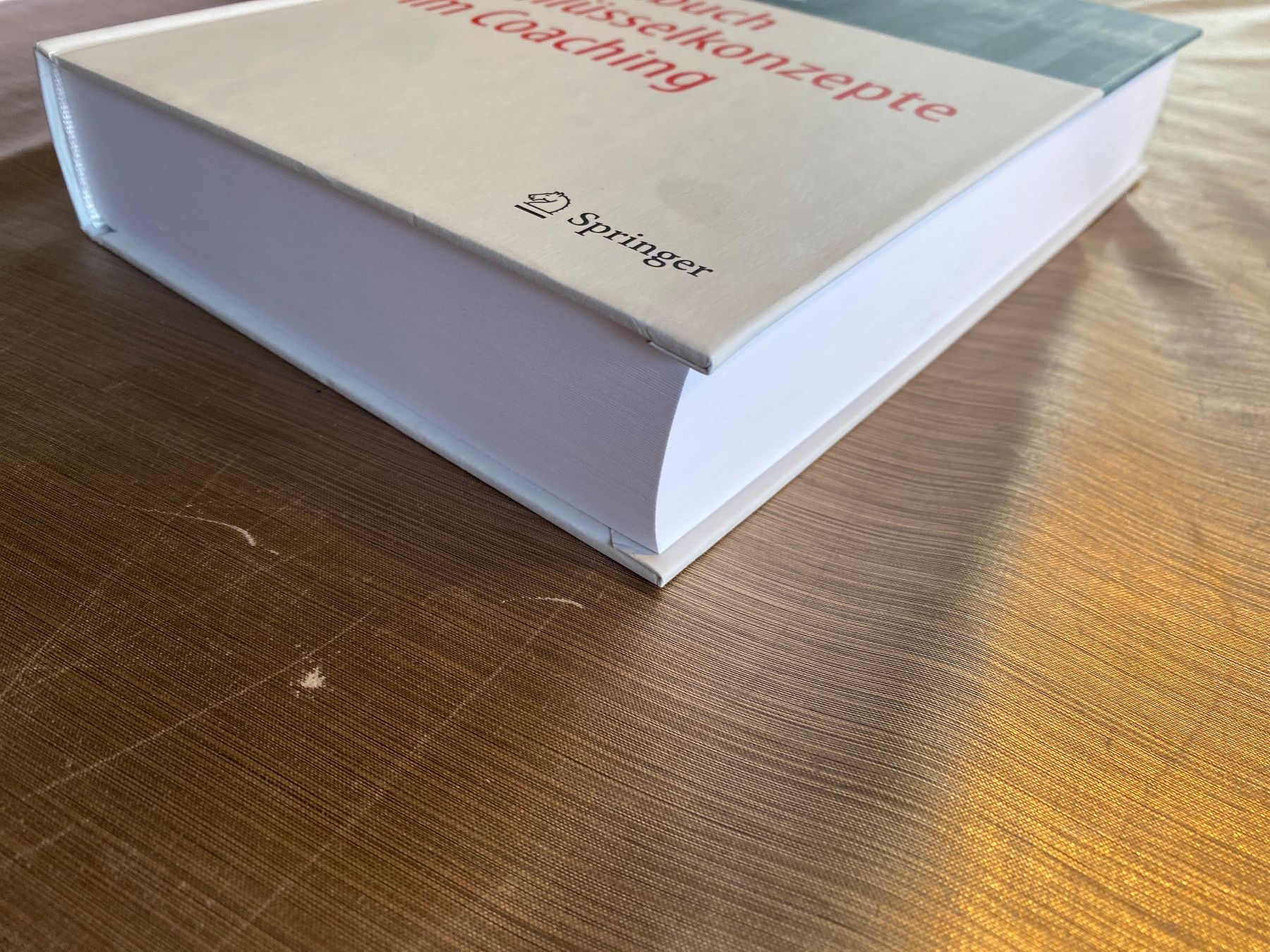 Libri: Handbuch Schlüsselkonzepte im Coaching (Springer Reference P – Usato da Teufenthal AG venduto da Collector1981 3