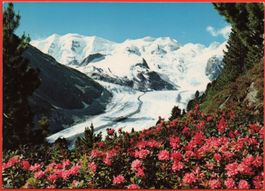 3 x AK PONTRESINA Morteratschgletscher, Diavolezza, Piz Palü