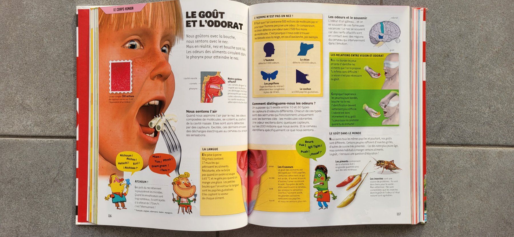 Bücher: L'encyclopédie 9/12 ans - Dokéo de Nathan – Gebraucht aus Sembrancher von Jbc71 5