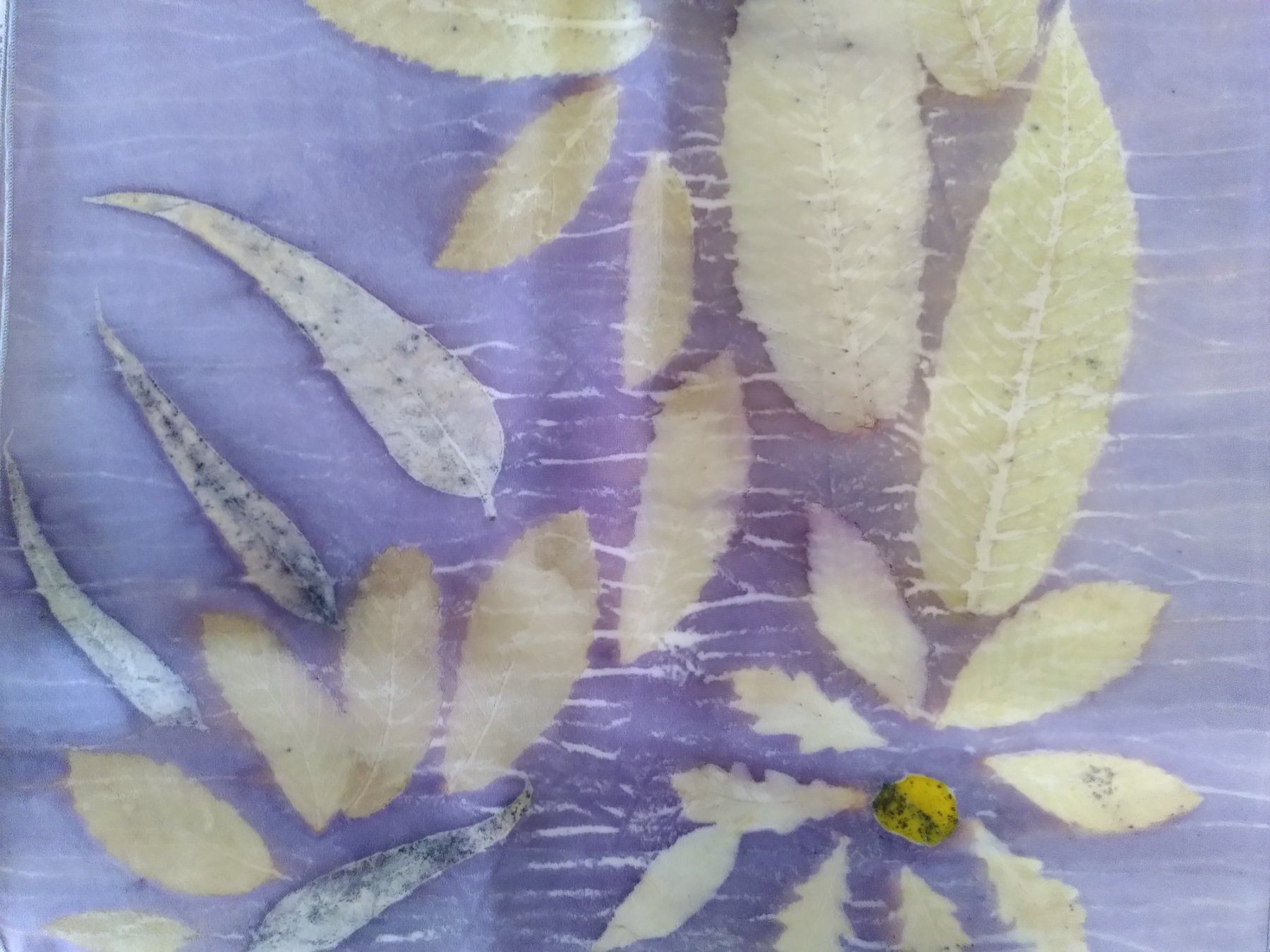 Foulard & Sciarpe: Foulard in seta tecnica ecoprint – Nuovo (secondo la descrizione) da Comano venduto da Maura 3