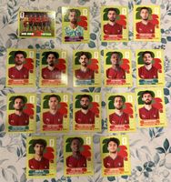 Panini WM 2026!!! Portugal 17 verschiedene Stickers!!!