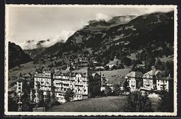 Grindelwald, Ortsansicht aus der Vogelsc