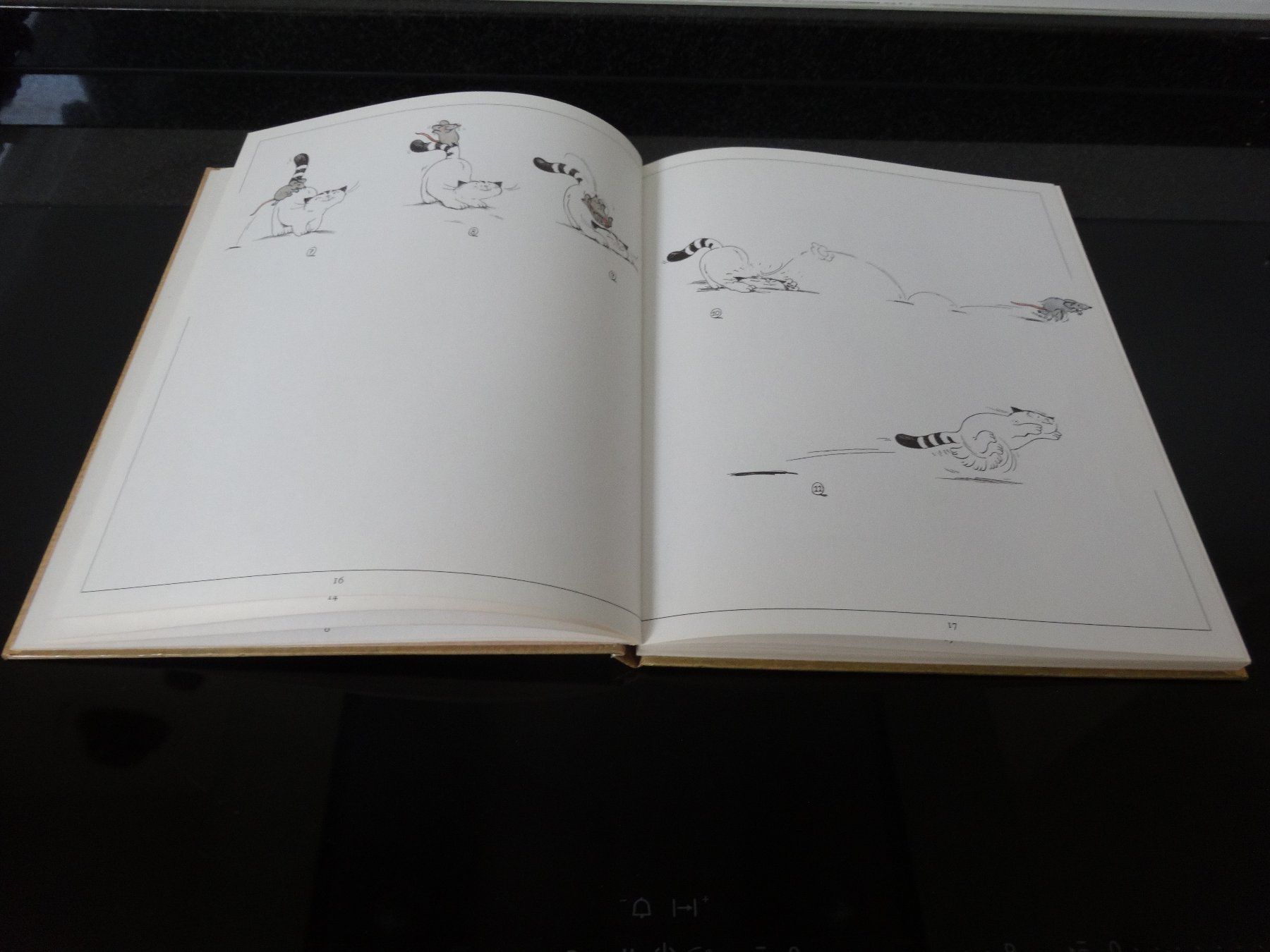 Libri: Jakob Extra Katzengeschichten Benteli Bern – Usato da Neerach venduto da jenny062 3