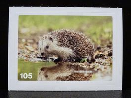 MIGROS MANIA Nature Detectives Nr. 105