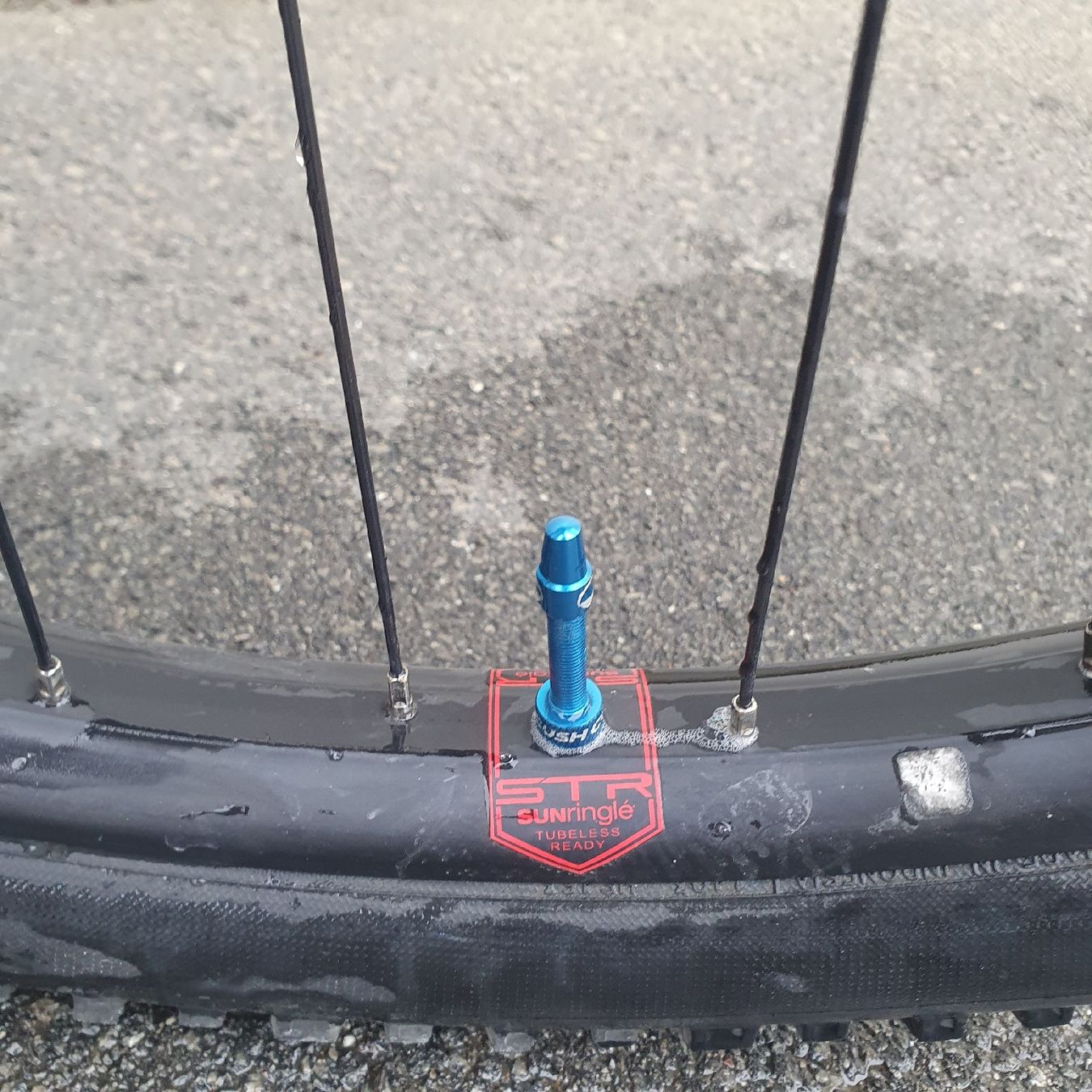 Koba Biciclette: Koba Big Reamol Enduro M – Usato da Engelberg venduto da ursdemar89 7
