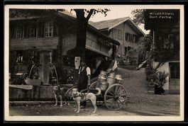 Foto-AK Wilderswil, Dorfpartie mit Hunde