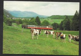 Yverdon - Ste-Croix Six-Fontaines mit altem Zug YSteC