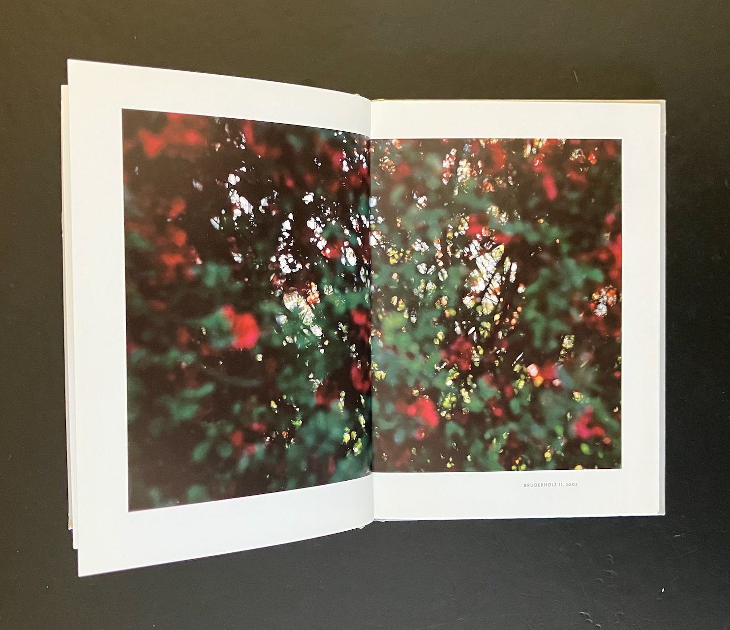 Libri: claudio moser ... walk on ... fotomuseum winterthur – Usato da Allschwil venduto da rotocker 6
