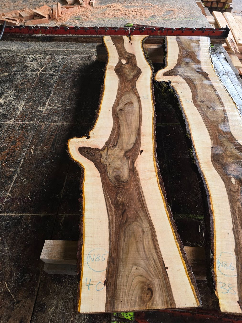 Articoli in legno: Nussbaumbrett Nr. N85 – Nuovo (secondo la descrizione) da Ramsei venduto da Waelchris