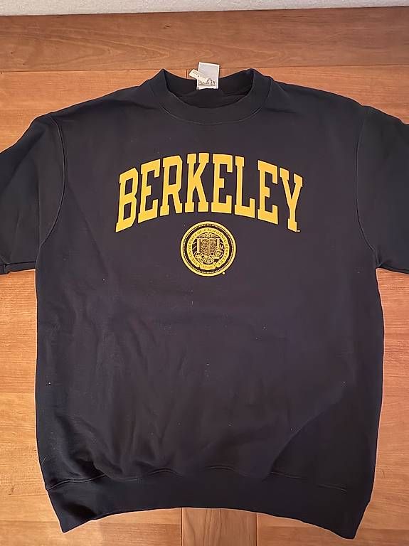 Pullover & Sweatshirts: Original UC Berkley Pullover (von Champion, US Grösse M) – Gebraucht aus Zürich von James_Kr 3
