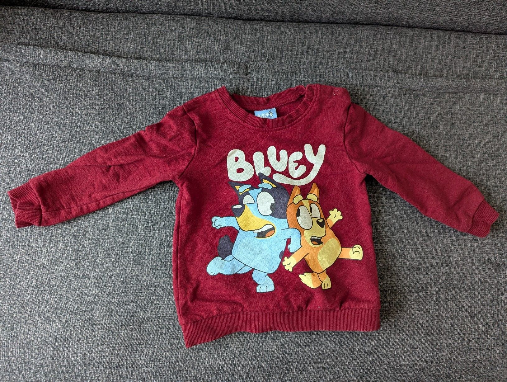 Maglioni & Felpe: Bluey Sweatshirt, Grösse 92 cm – Usato da Zofingen venduto da Droni_A
