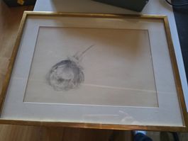 Bild Zeichnung Rose 38 cm x 28 übereck vergoldet