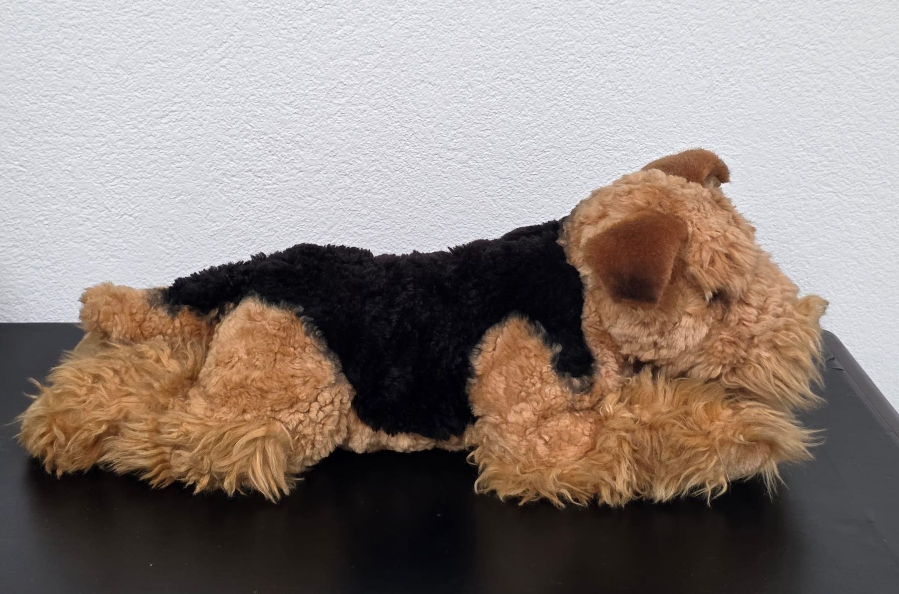 Giocattoli: Plüschtier Airedale Terrier liegend – Usato da Rheinsulz venduto da Dred 2