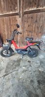 Mofa Piaggio Gilera Citt Ec1 mit Ausweis,Si,Ciao,Bravo,Boxer