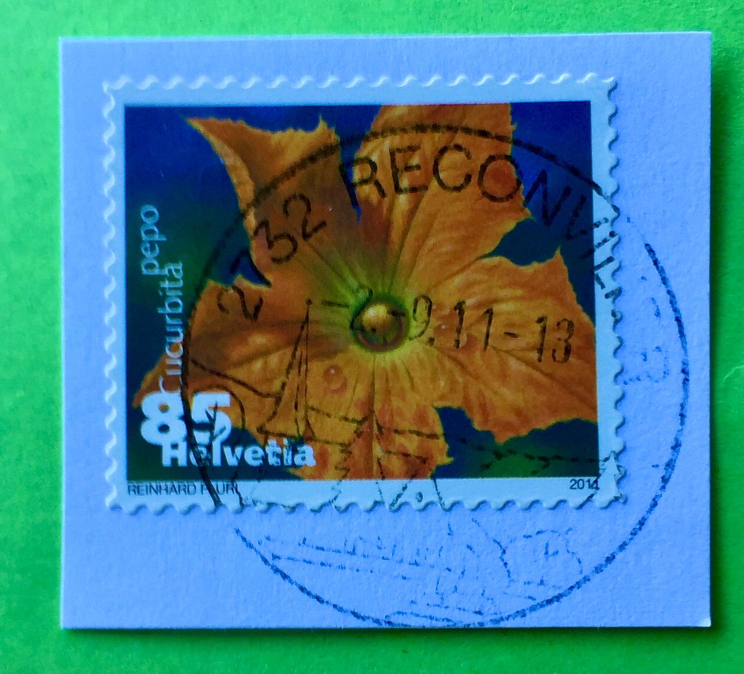 Tutti i francobolli: Nr.1376 Dauermarken Gemüseblüten 2011 mit Stempelt Zucchini – Usato da Aarau venduto da Billa007