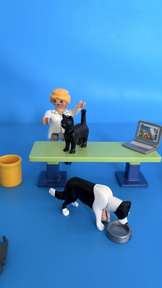 Playmobil Giocattoli: Playmobil Tierarzt – Usato da Winterthur venduto da Strubina 1