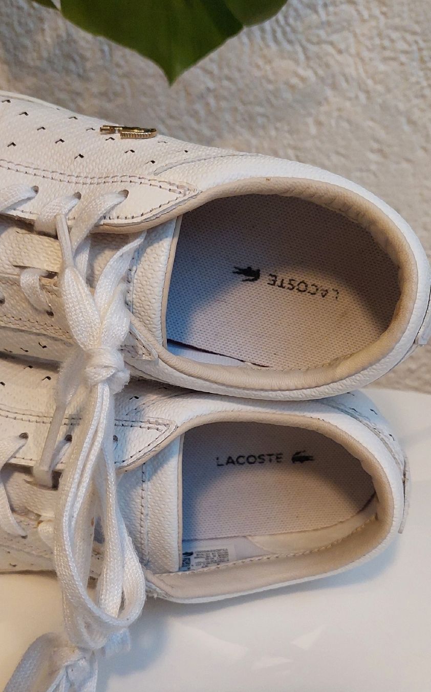 Lacoste Scarpe da donna: Lacoste Sneaker Gr 37 – Usato da Zizers venduto da toasty01 6