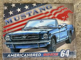 Ford Mustang Oldtimer classic Cabrio 1964