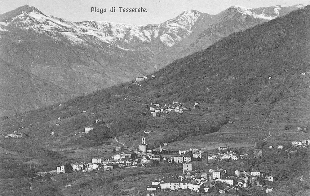Plaga Tesserete (Gebraucht) in Biasca für CHF 11 – mit Lieferung auf ...