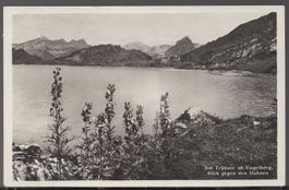 Trübsee   Engelberb  Blick gegen den Hahnen  1934