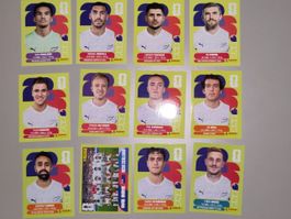 FIFA Panini New Zealand (NZL)