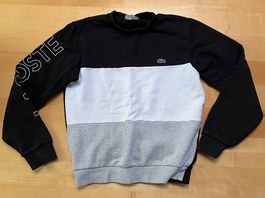 Lacoste Pullover 
