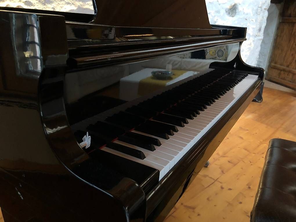 Strumenti musicali: Magnifique piano 1/4 queue à vendre  – Usato da Fully venduto da Rmailler 3