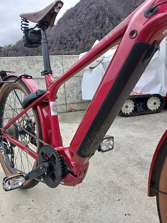 Biciclette: EBike 45 im/h Ibex Efat Frank Neo – Usato da Gordola venduto da tes_mm2y 2