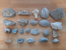 Lot mit Fossilien, Versteinerungen & Kristalle