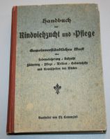 Camenzind: Handbuch der Rindviehzucht und -Pflege, 1925