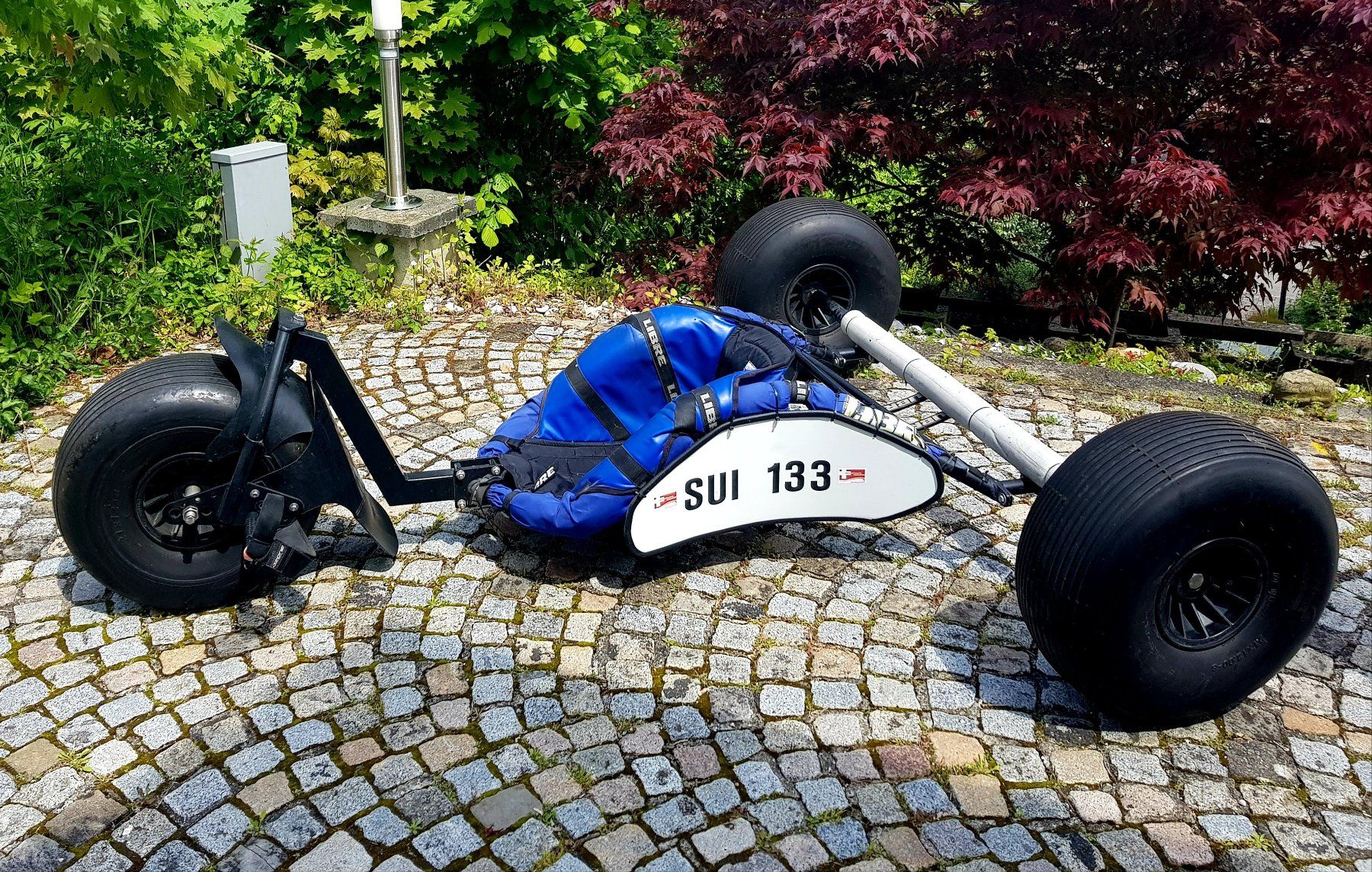 Aquilone: Libre Kitebuggy Dragster – Usato da Rüdlingen venduto da amigosantos